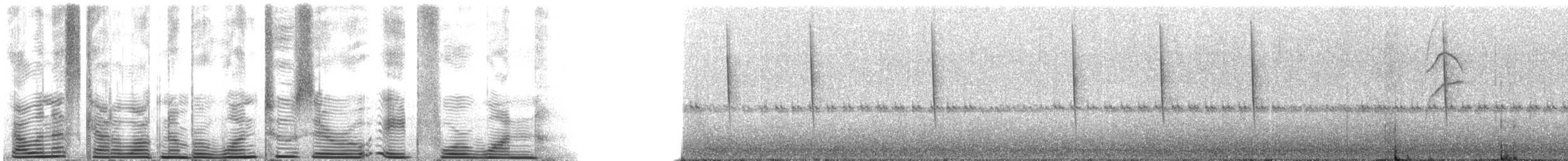 ヒメミドリハチドリ（cyanotus／crissalis） - ML120841