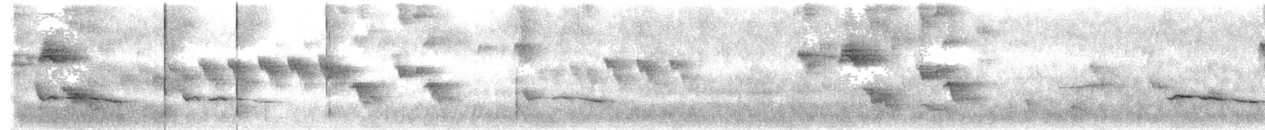 Troglodyte à poitrine blanche - ML120880401