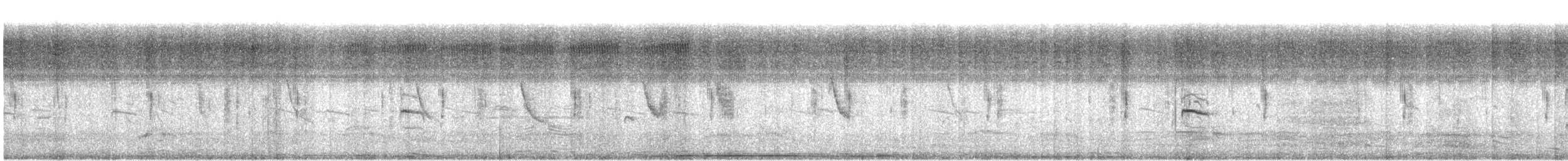 Scaly-breasted Munia - ML120895451