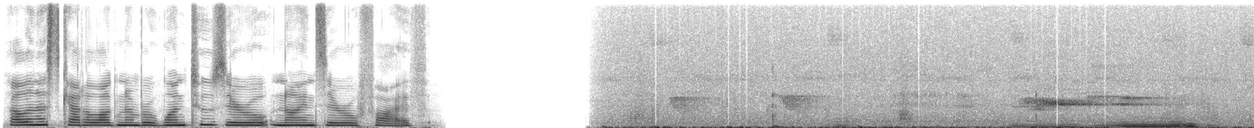 Танагра колумбійська - ML120905