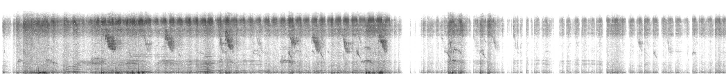 Streaked Weaver - ML120909201