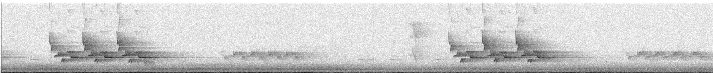 Поплітник каролінський - ML120911771