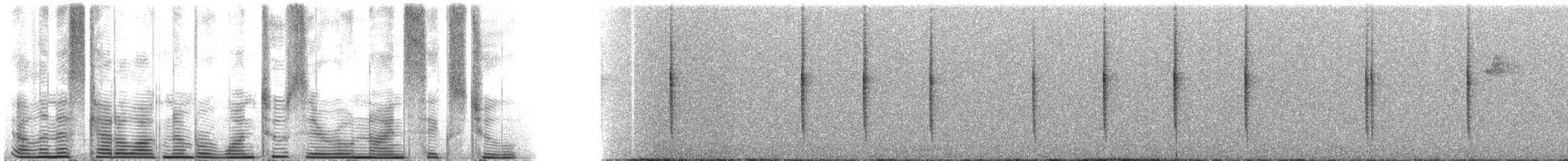 Колібрі плямистоволий (підвид inornata) - ML120962