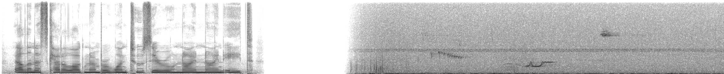 Tinamou à calotte noire - ML120998