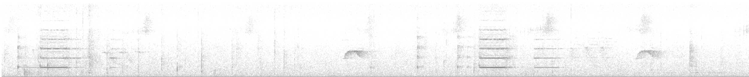 Manakin à ailes blanches - ML121150211