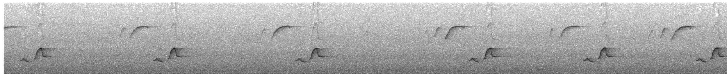 Troglodyte à poitrine grise - ML121261321