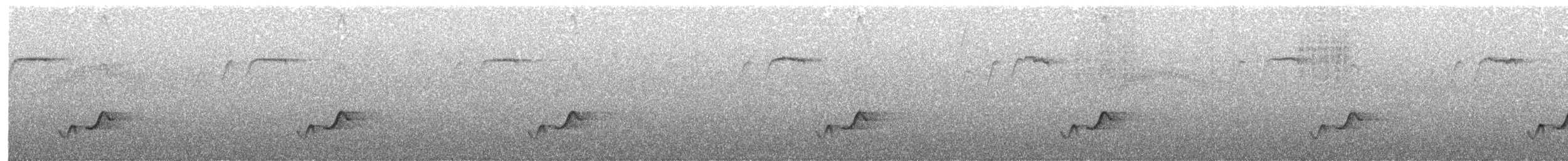 Серогрудый крапивник - ML121261331
