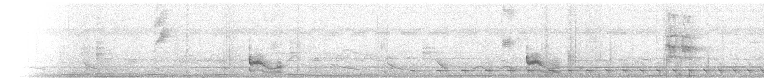 Troglodyte coraya - ML121271931
