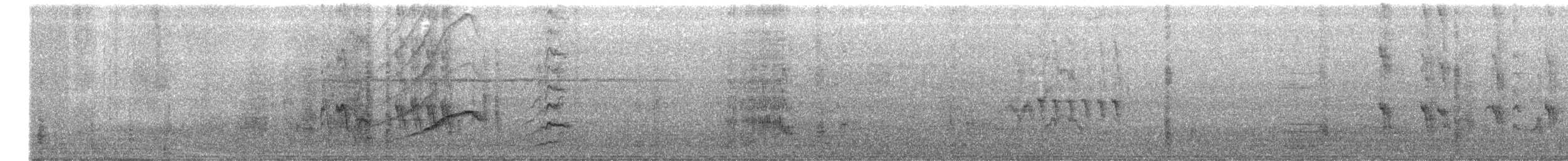 Great-tailed Grackle - ML121337181