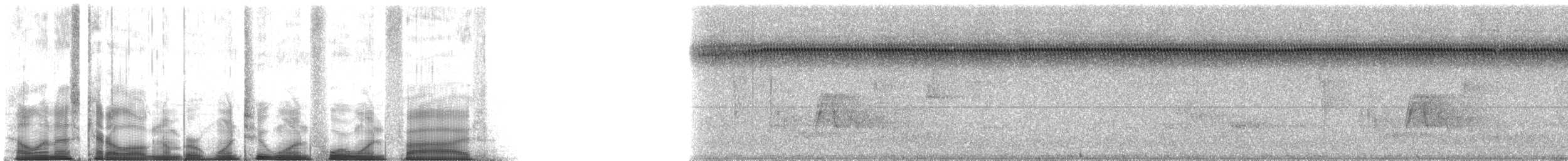 Say's Trig - ML121415