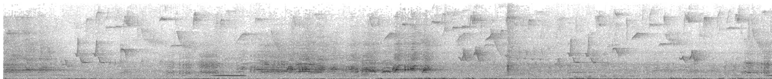 holub bledočelý - ML121537201