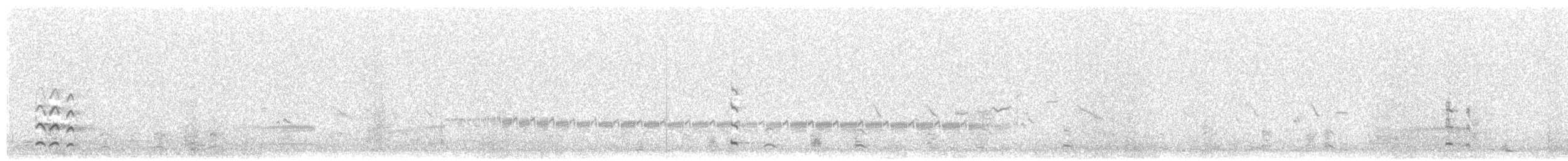 Black-tailed Godwit (islandica) - ML121655671