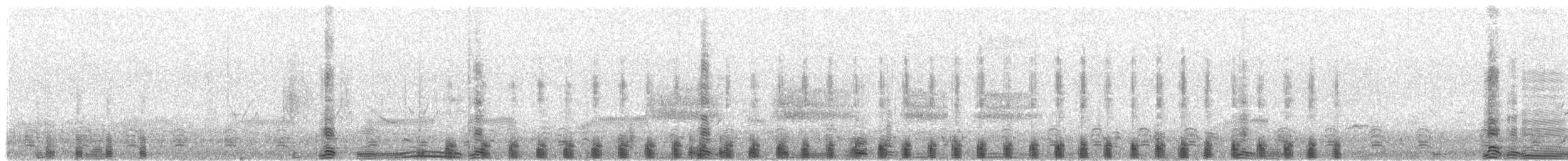 King Eider - ML121655821