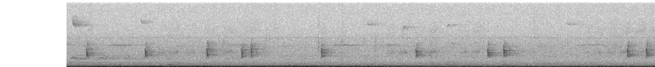 Дрізд-короткодзьоб плямистоволий - ML121677901