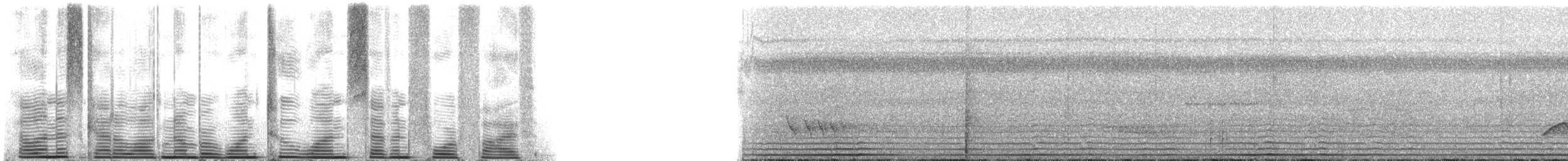 Lawrence's Thrush - ML121745