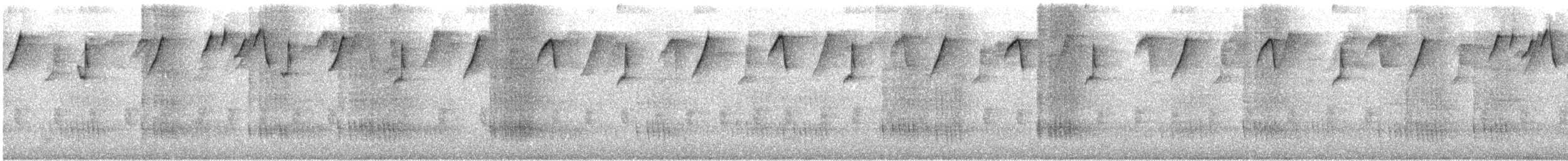 Серогорлый колибри-отшельник - ML121751801