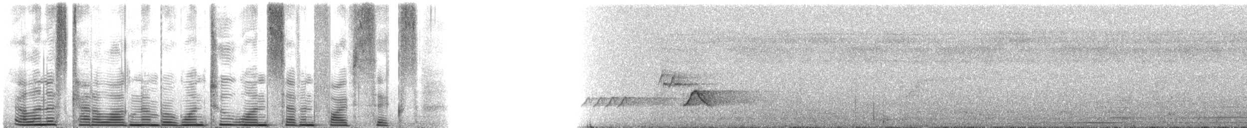 Lawrence's Thrush - ML121756