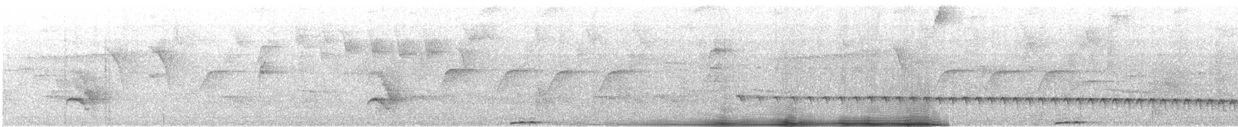 Weißstirn-Ameisenschnäpper - ML121758171