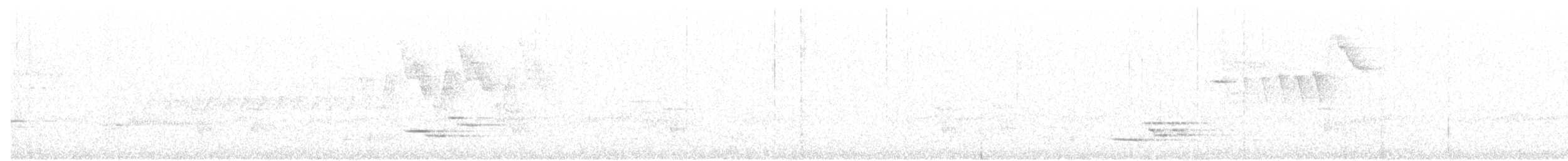 Wood Thrush - ML121776021