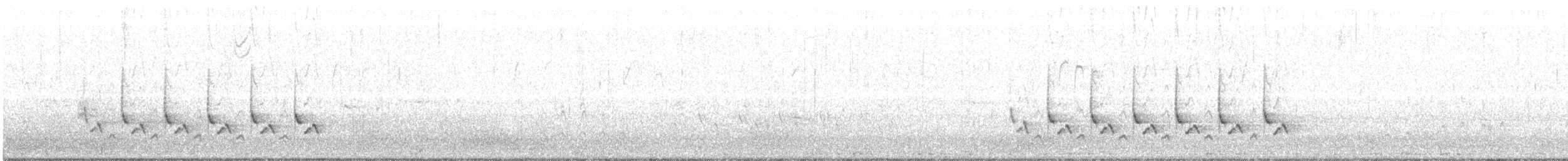 Carolina Wren - ML121788601