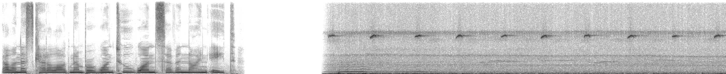 Большеклювый колибри-отшельник [группа moorei] - ML121798