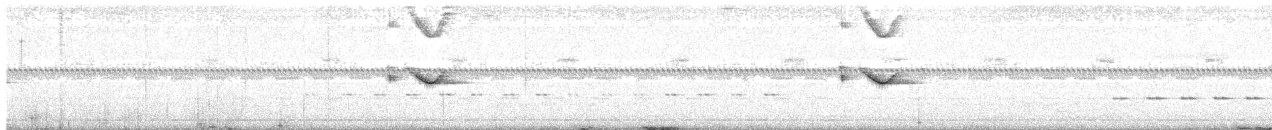 Spot-tailed Nightjar - ML121863071
