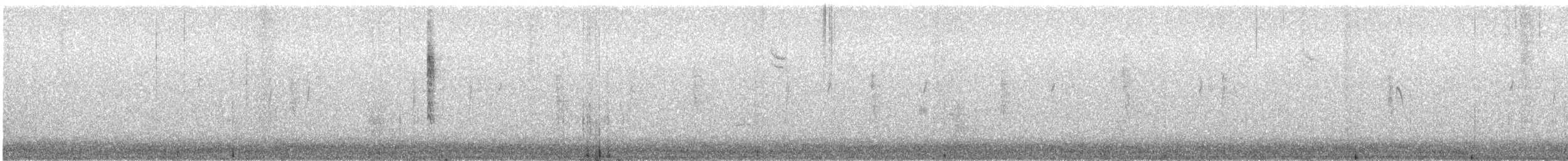 Paruline à calotte noire - ML121892001