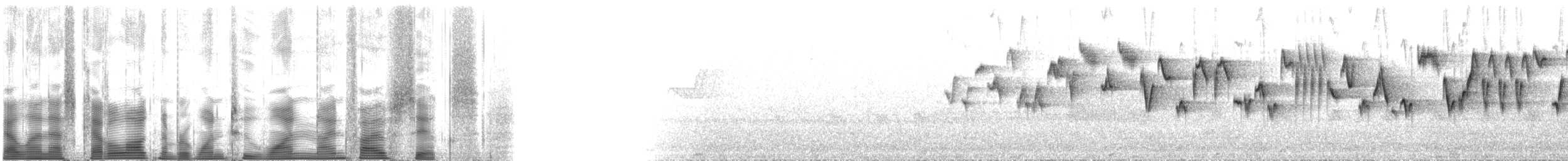 Troglodyte de Baird (groupe pacificus) - ML121956