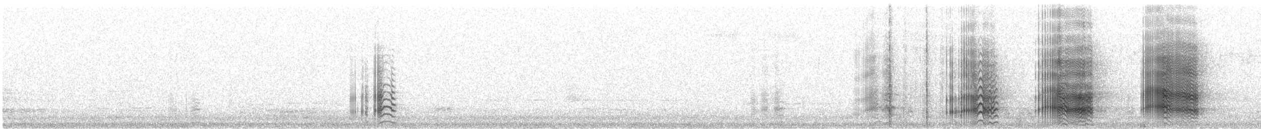 kakadu přílbový - ML122377121