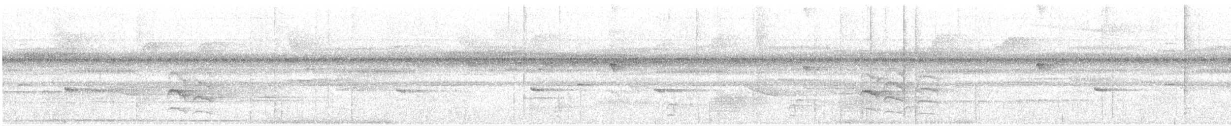 White-flanked Antwren - ML122420341