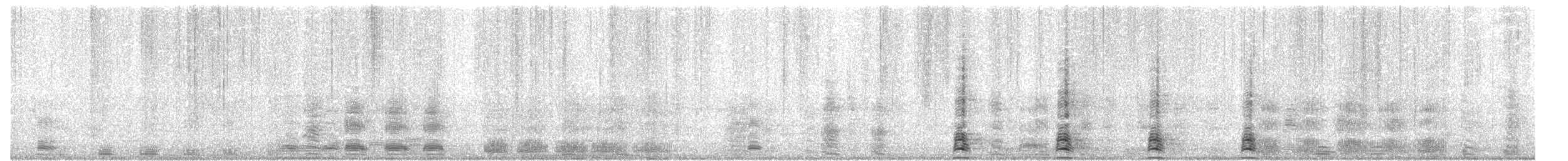 Schnee- x Zwergschneegans (Hybrid) - ML122479261