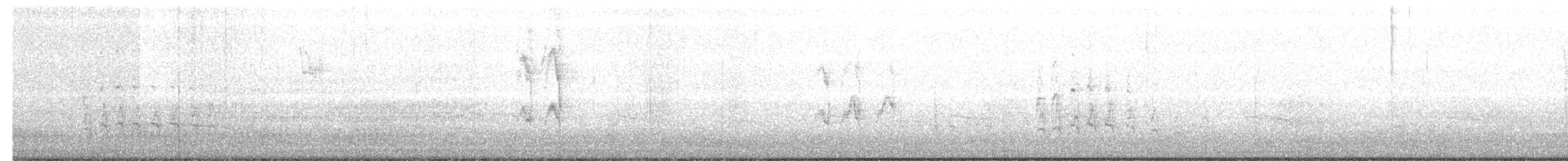 American Robin - ML122540941