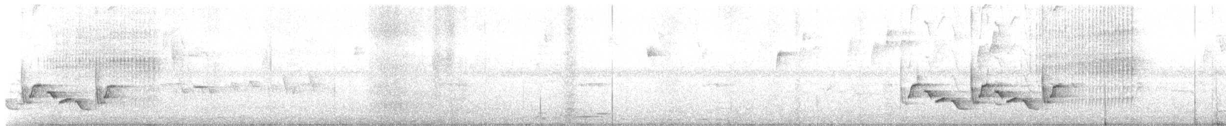 Каролинский крапивник - ML122542291