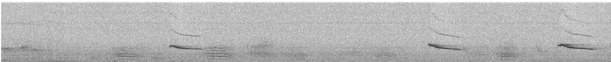 Рыжебрюхий фиби - ML122552891