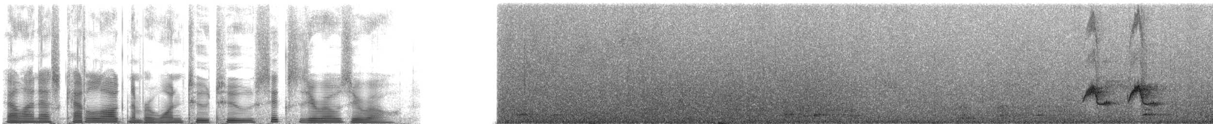 Пересмішник сивий [група gilvus] - ML122600