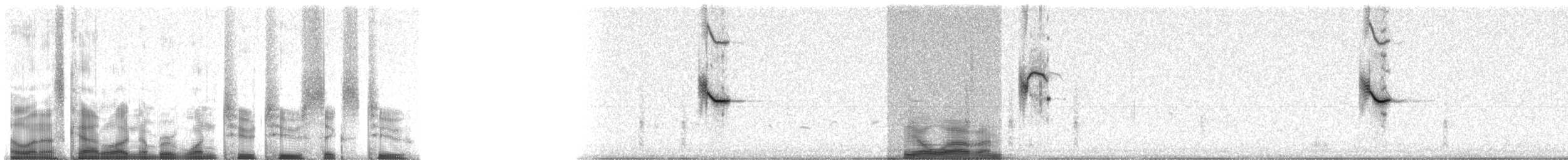 Rotflügelstärling [phoeniceus-Gruppe] - ML12262