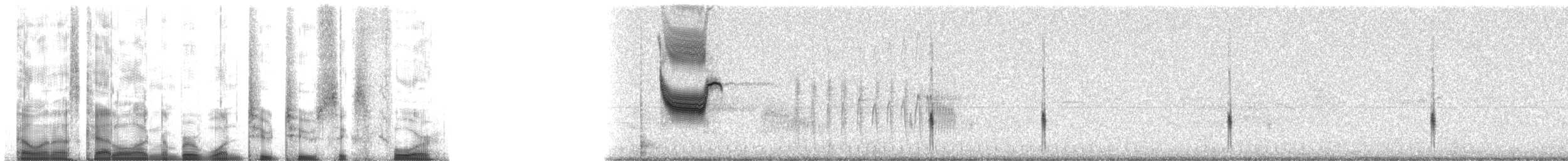 vlhovec červenokřídlý [skupina phoeniceus] - ML12264