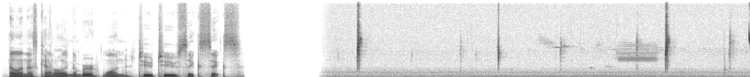 rødvingetrupial (phoeniceus gr.) - ML12266