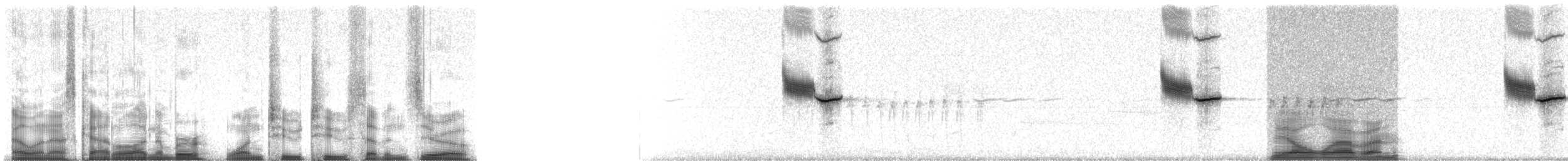 vlhovec červenokřídlý [skupina phoeniceus] - ML12270