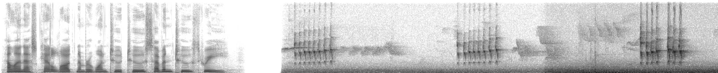 Schwarzgesicht-Dickichtschlüpfer - ML122723