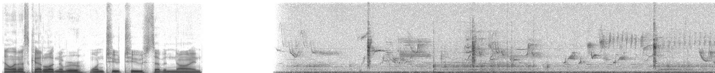 vlhovec červenokřídlý [skupina phoeniceus] - ML12279