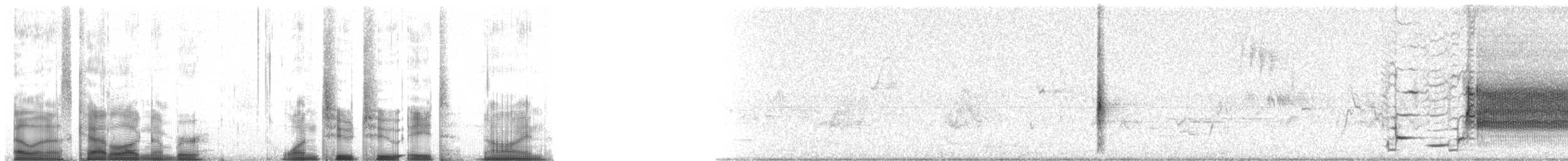 vlhovec červenokřídlý [skupina phoeniceus] - ML12289