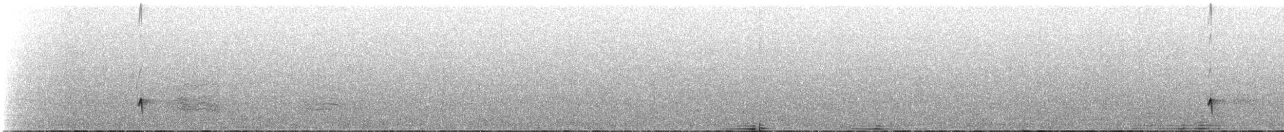 hvitlinjehonningeter - ML123012281