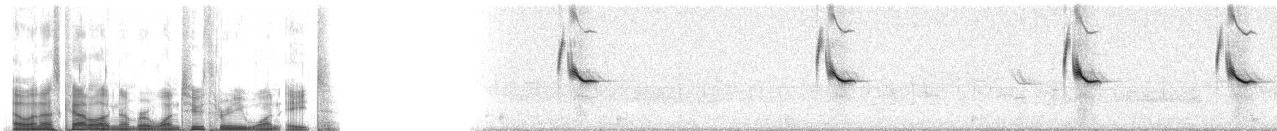 Carouge à épaulettes (groupe phoeniceus) - ML12318