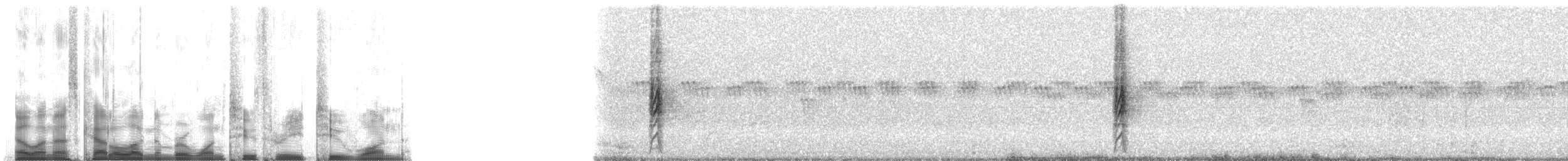 vlhovec červenokřídlý [skupina phoeniceus] - ML12321