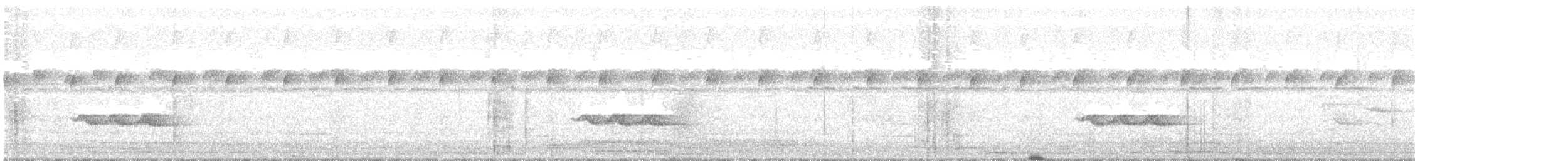 Troglodyte à poitrine blanche - ML123371841