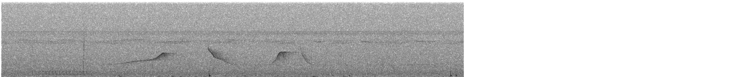 Планідера світлочерева - ML123385321