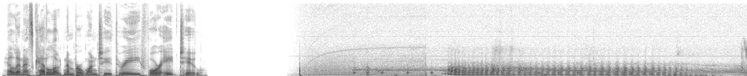 Weddell Seal - ML123482