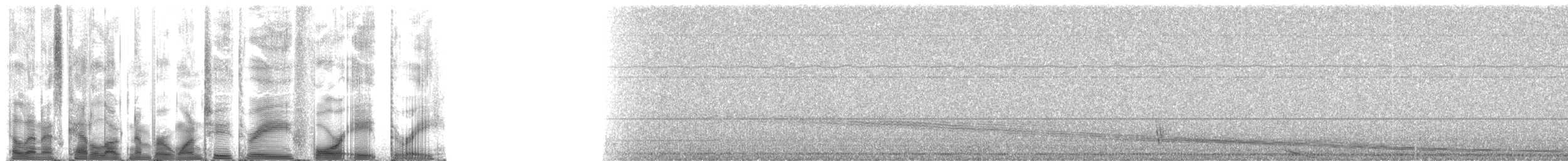 Weddell Seal - ML123483