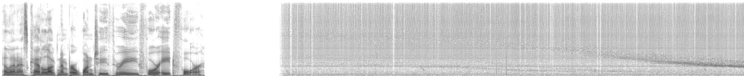 Weddell Seal - ML123484